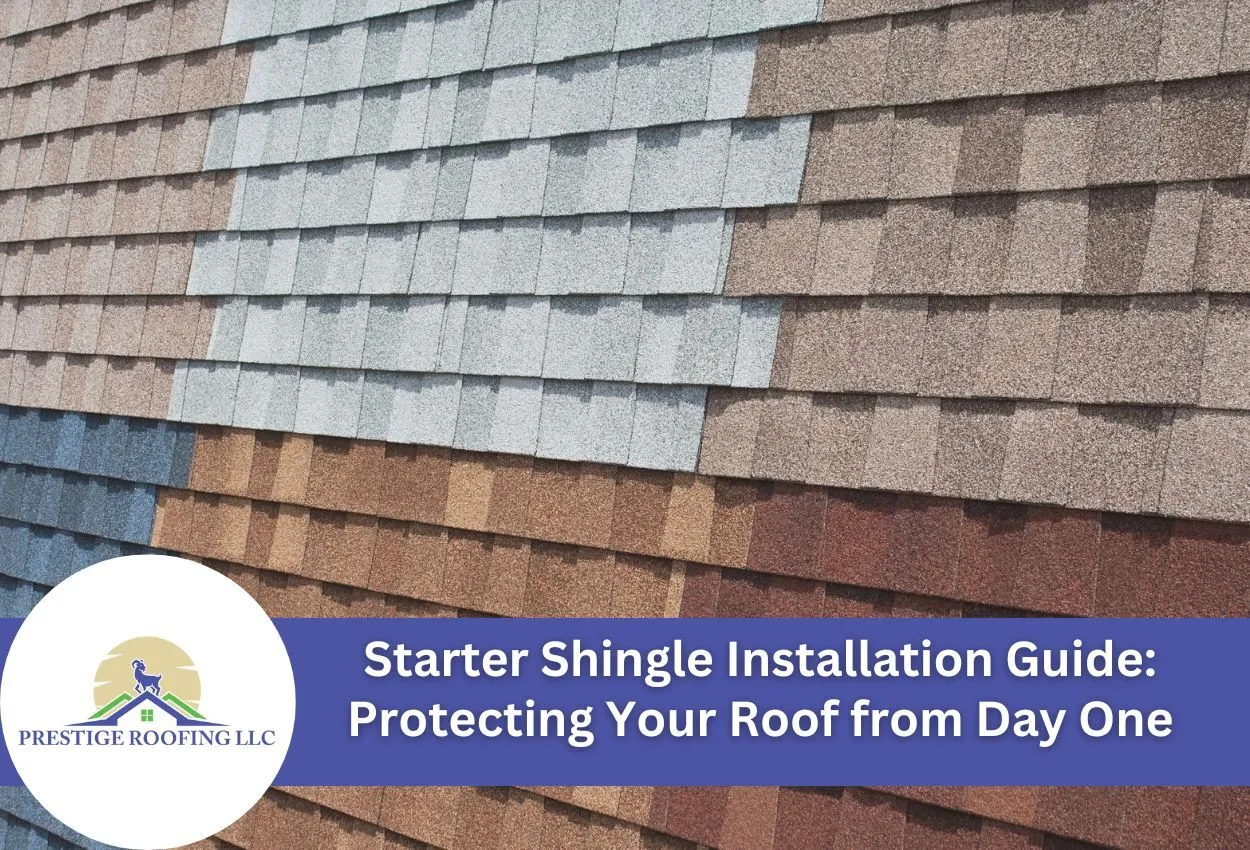 colored shingles