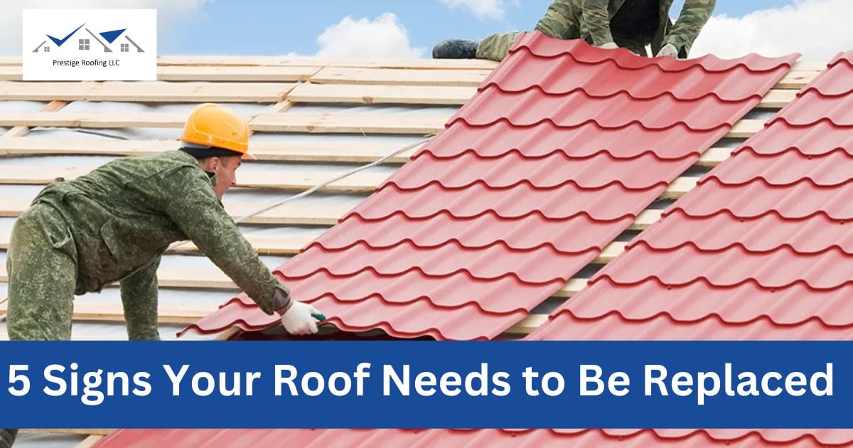 5 Signs Your Roof Needs to Be Replaced
