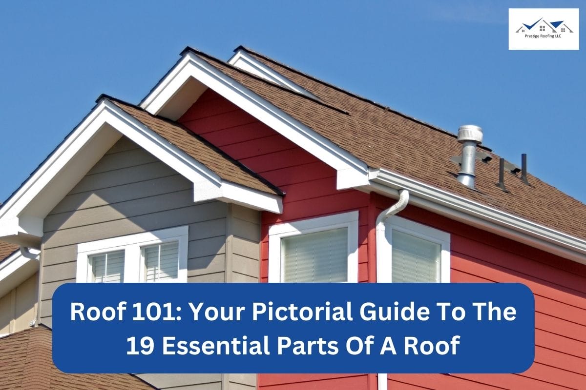 Roof 101: Your Pictorial Guide To The 19 Essential Parts Of A Roof