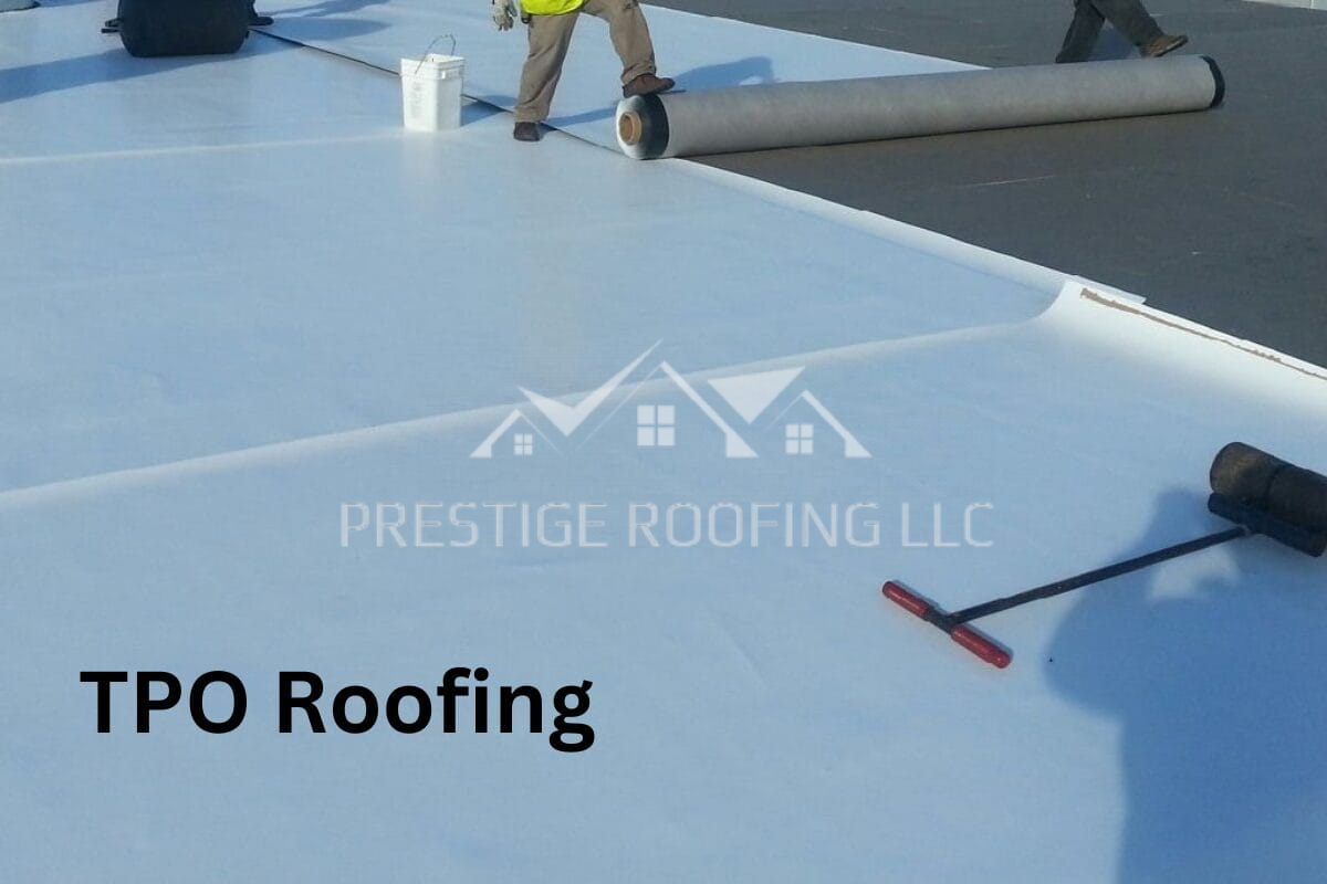 TPO Roofing