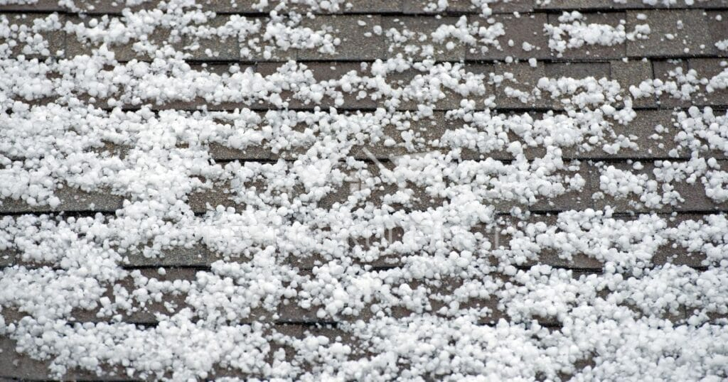 hail damage on shingle 