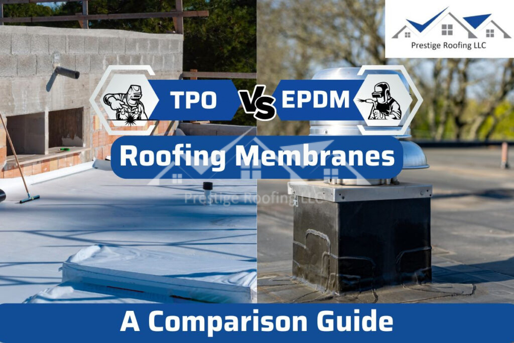 tpo vs epdm