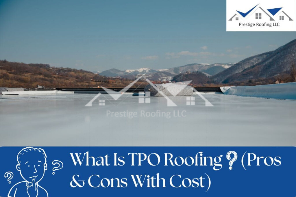 tpo roofing