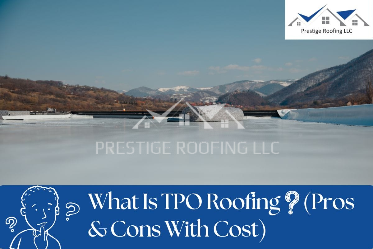 tpo roofing