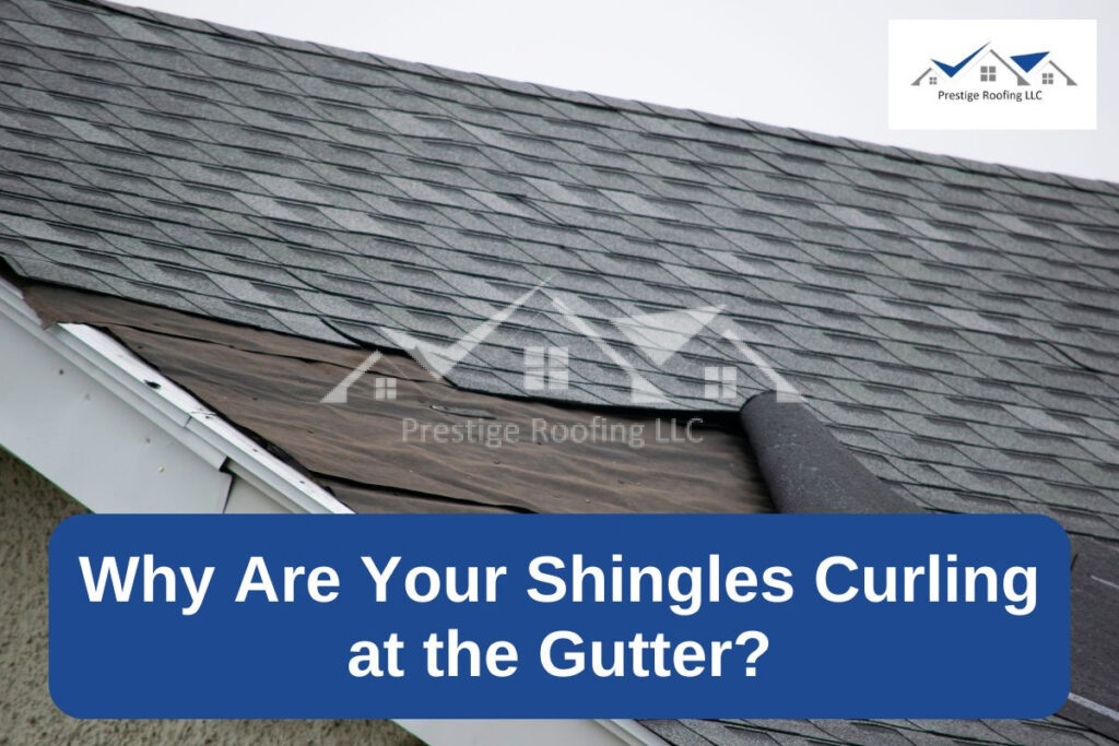 Why Are Your Shingles Curling at the Gutter?
