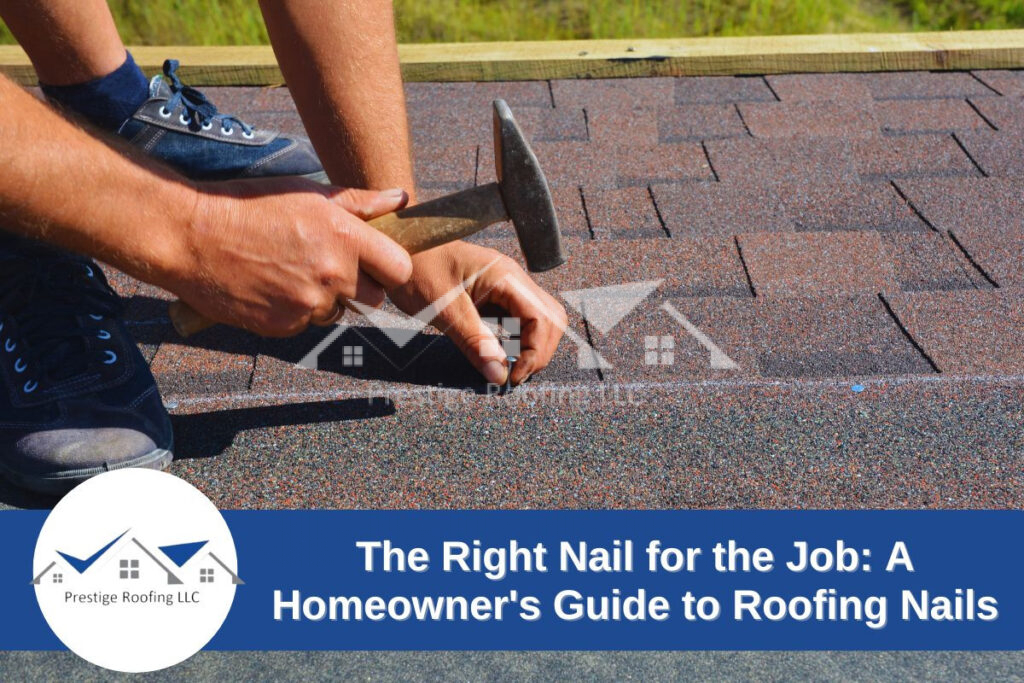 roofing nails
