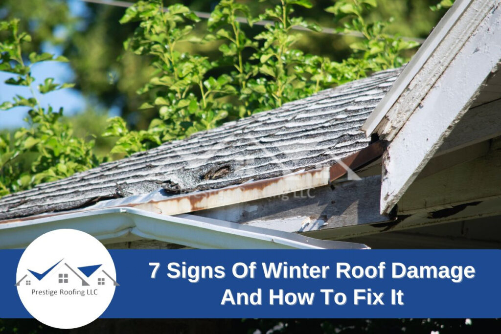Winter Roof Damage