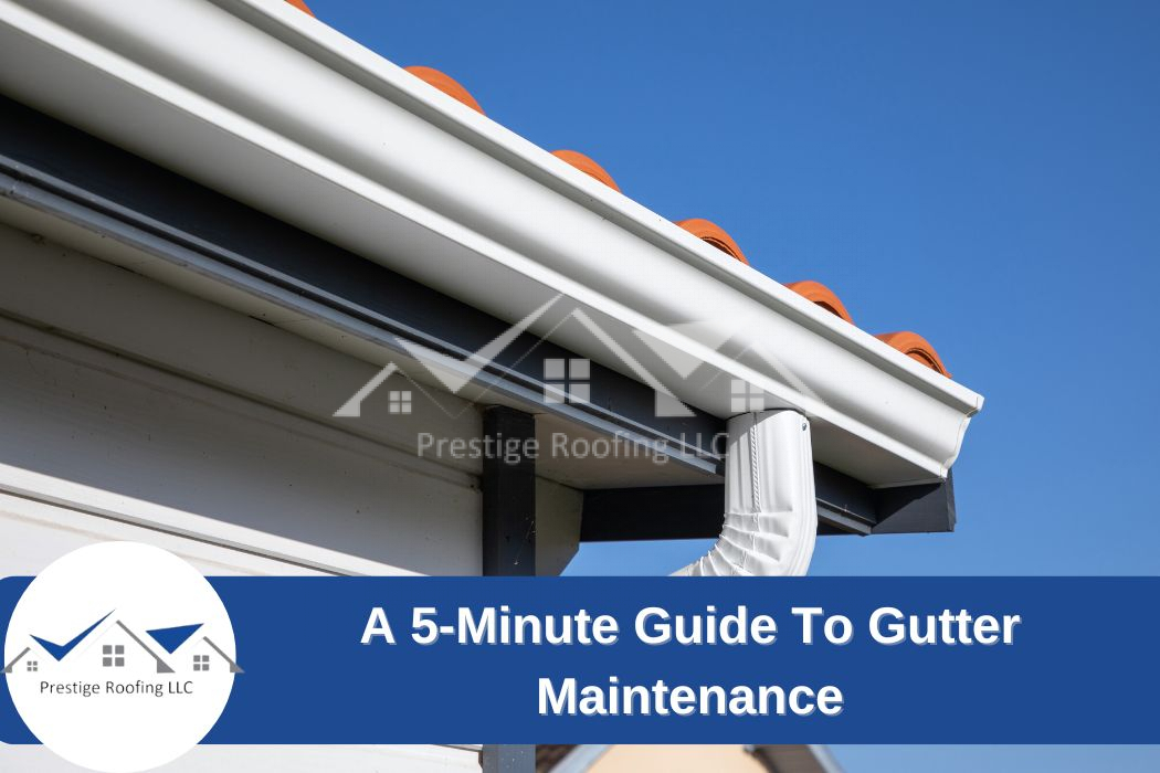 gutter maintenance