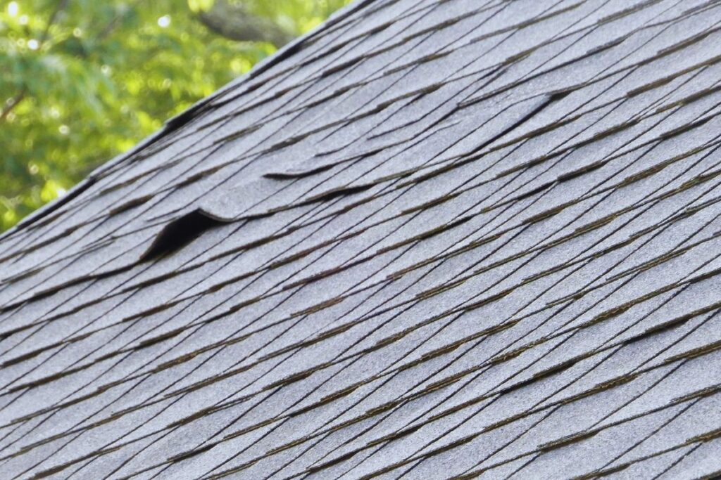 Curling Shingles 1