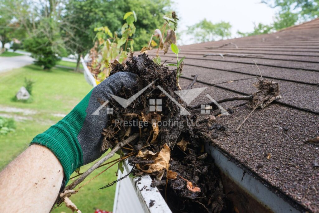 Gutter Cleaning