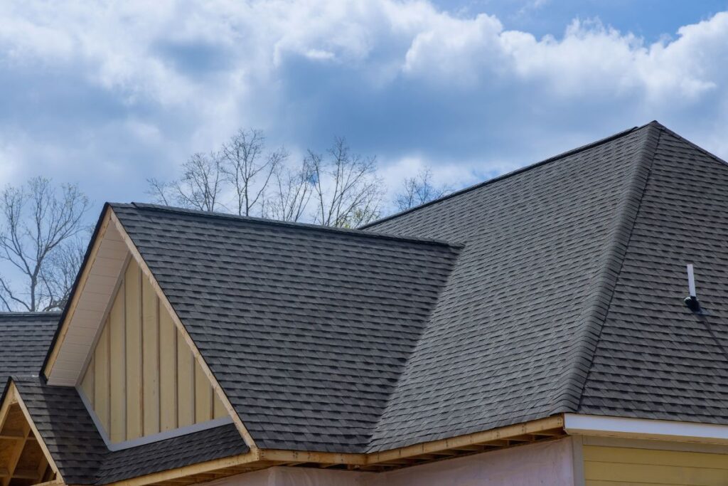 Roof Shingle