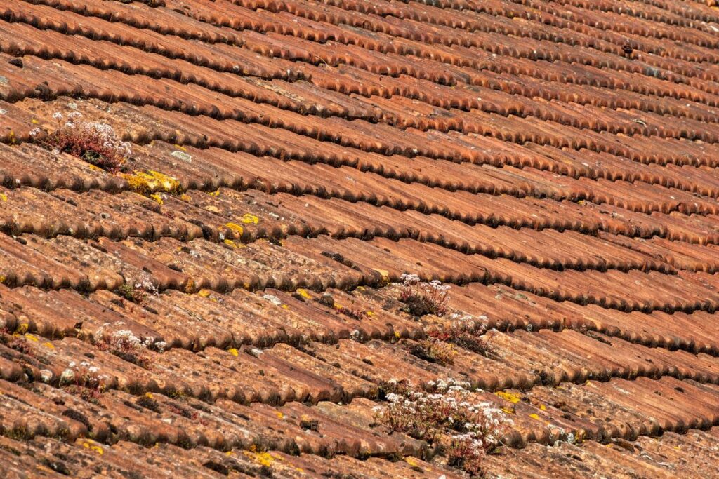 Sagging Shingles