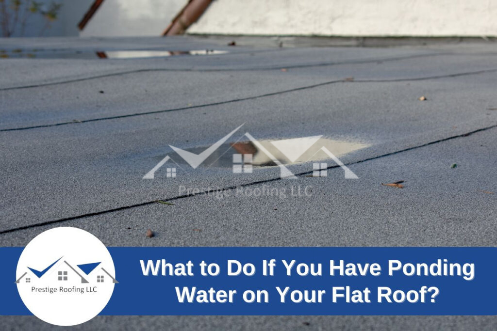 ponding water on a flat roof