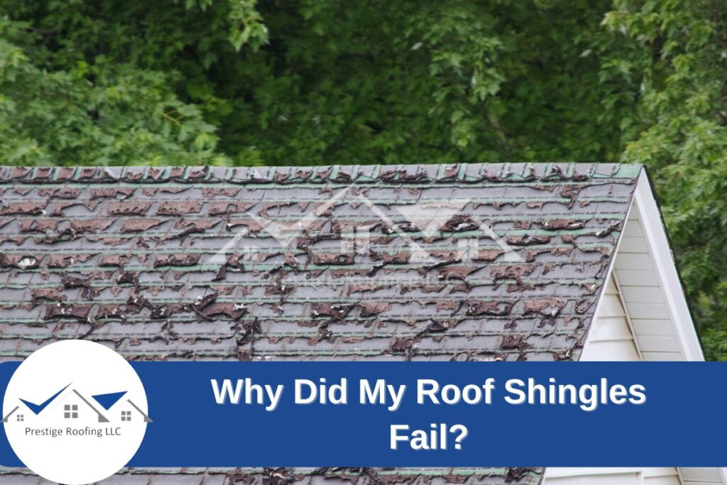 Why Did My Roof Shingles Fail?