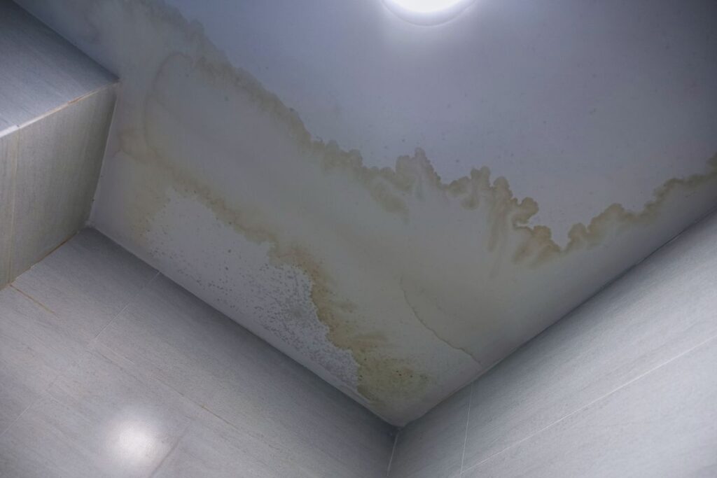 Interior Water Stains