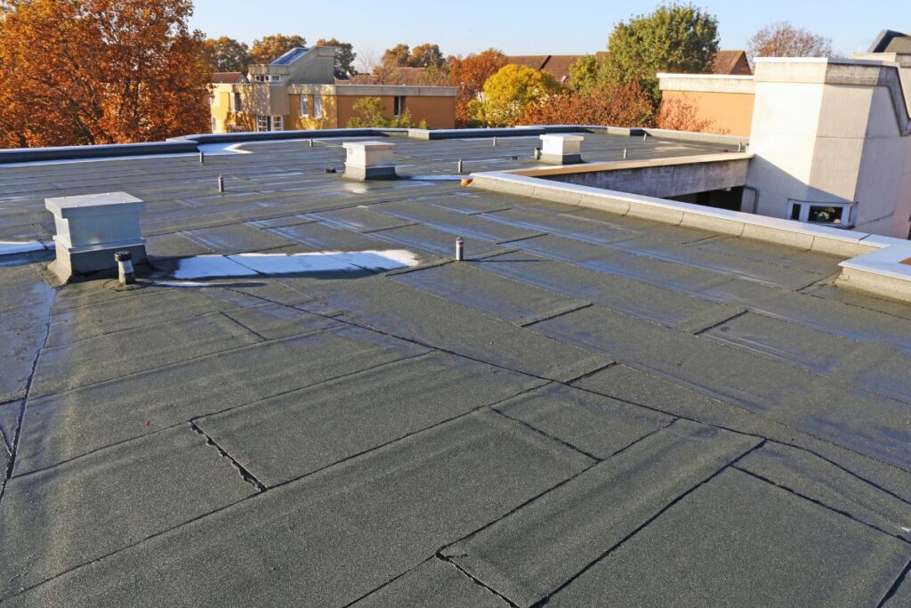 Flat Roof 3 Flat Roof