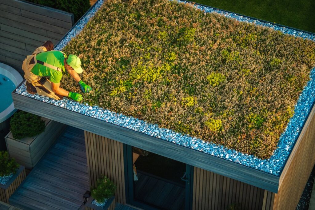 Green Roofing Green Roofing