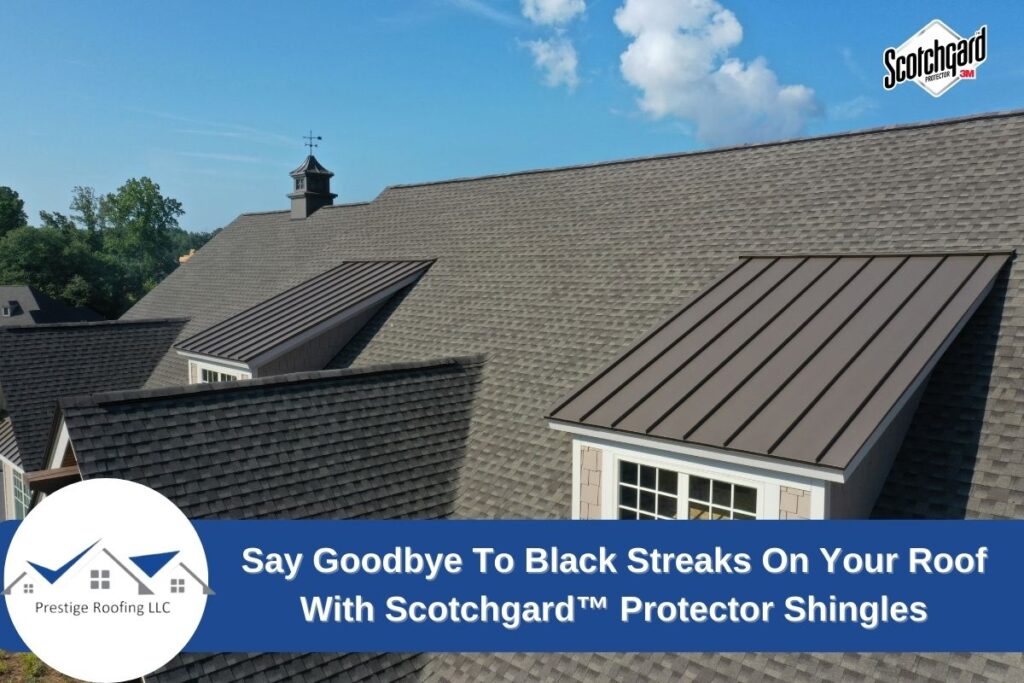 scotchgard protector