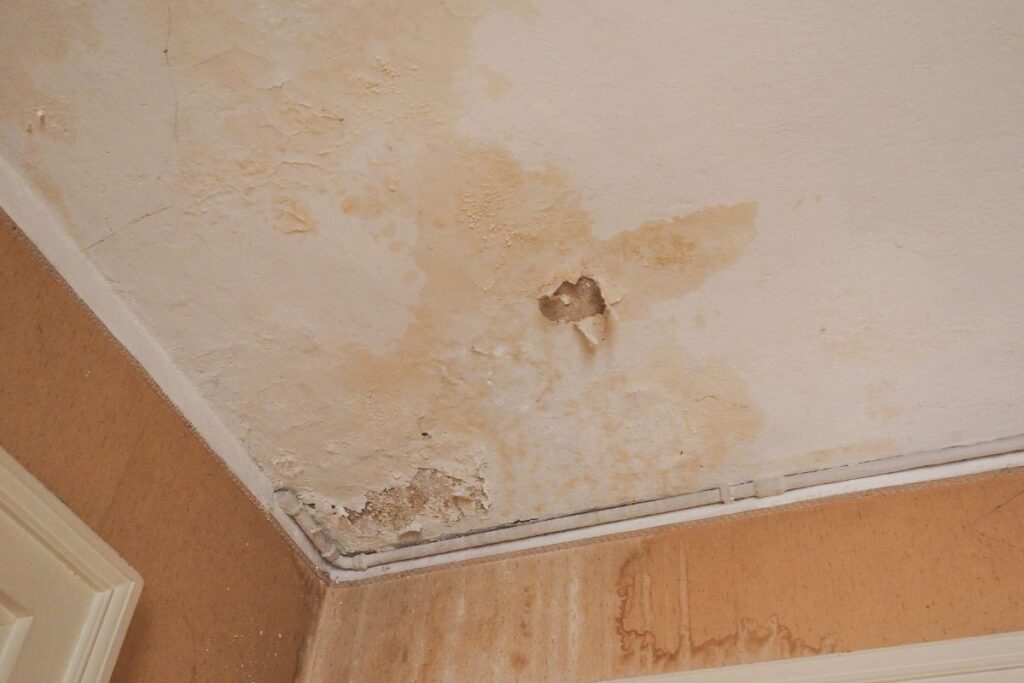 Water Stains on Water Stains on ceilings