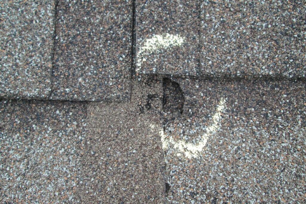 Shingle Damage 4 Shingle Damage