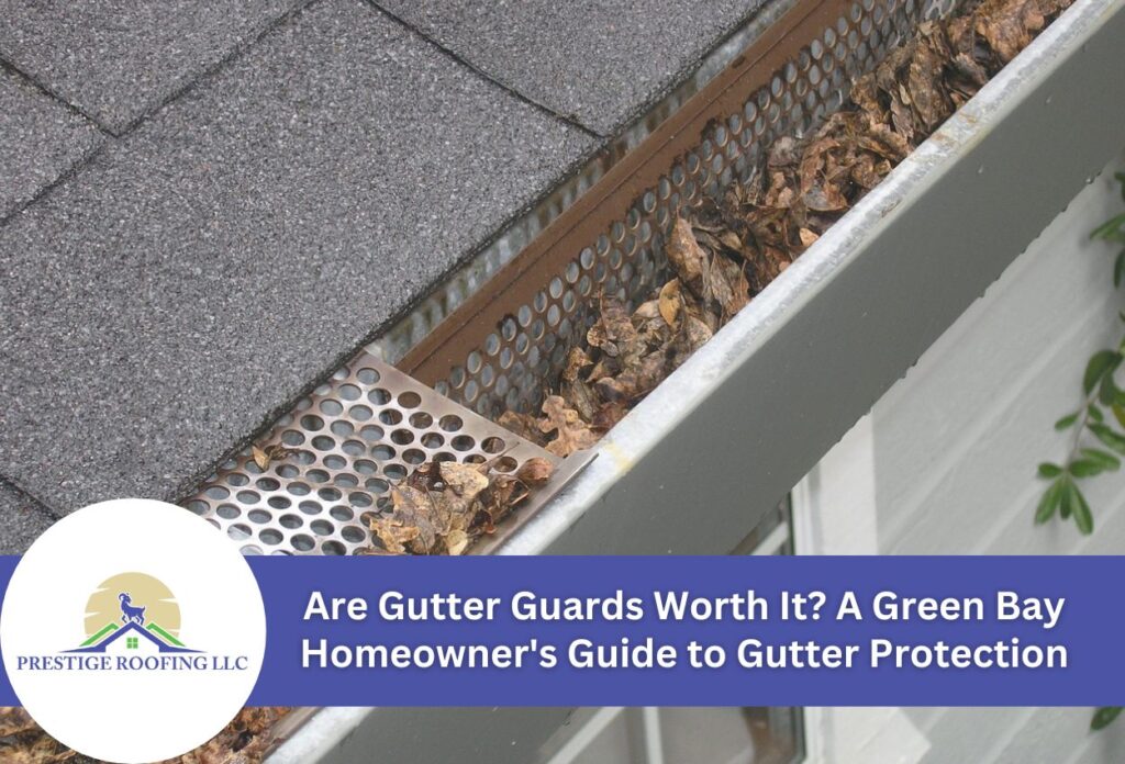 gutter guard