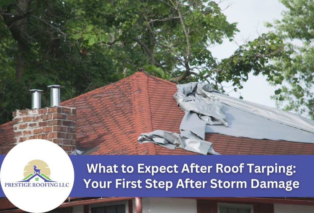 roof with tarp on it