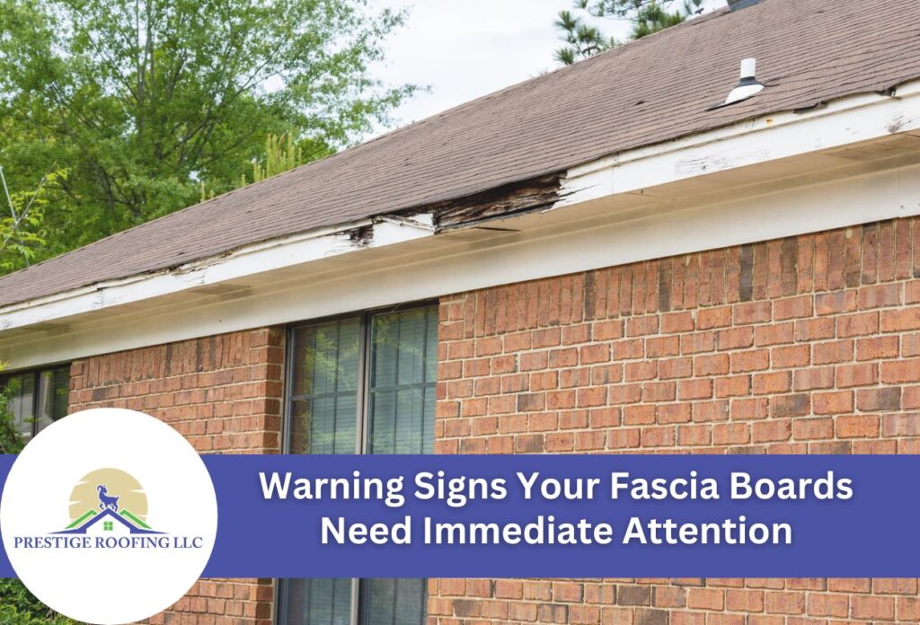 Warning Signs Your Fascia Boards Need Immediate Attention