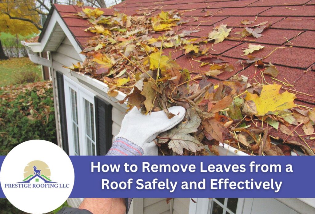 How to Remove Leaves from a Roof Safely and Effectively