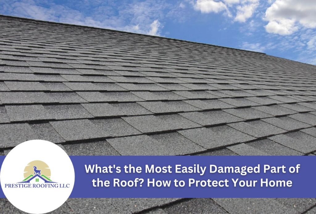 What's the Most Easily Damaged Part of the Roof? How to Protect Your Home