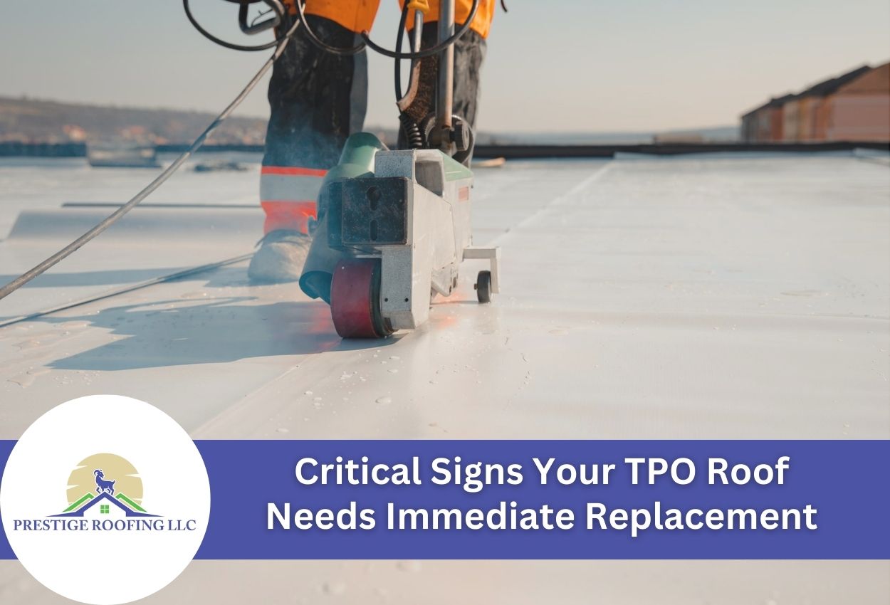 Critical Signs Your TPO Roof Needs Immediate Replacement