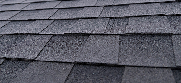 Close-up view of asphalt roofing shingles on a sloped roof.