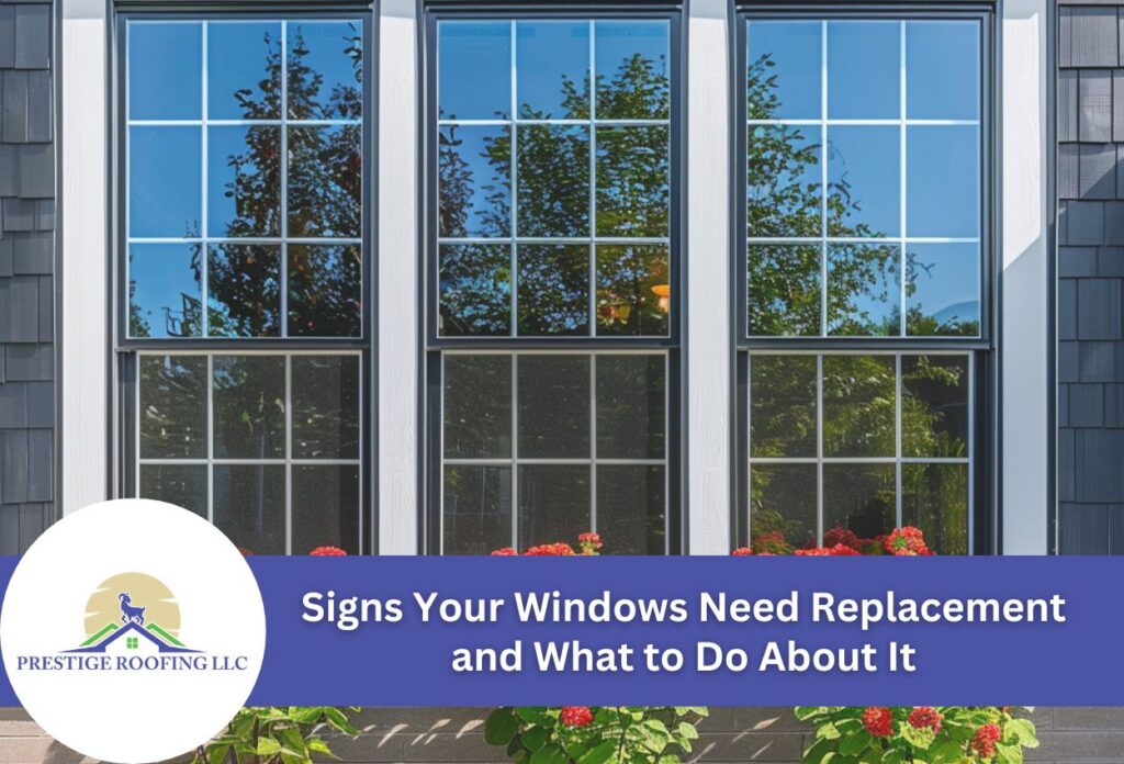 Modern window replacement with garden reflection