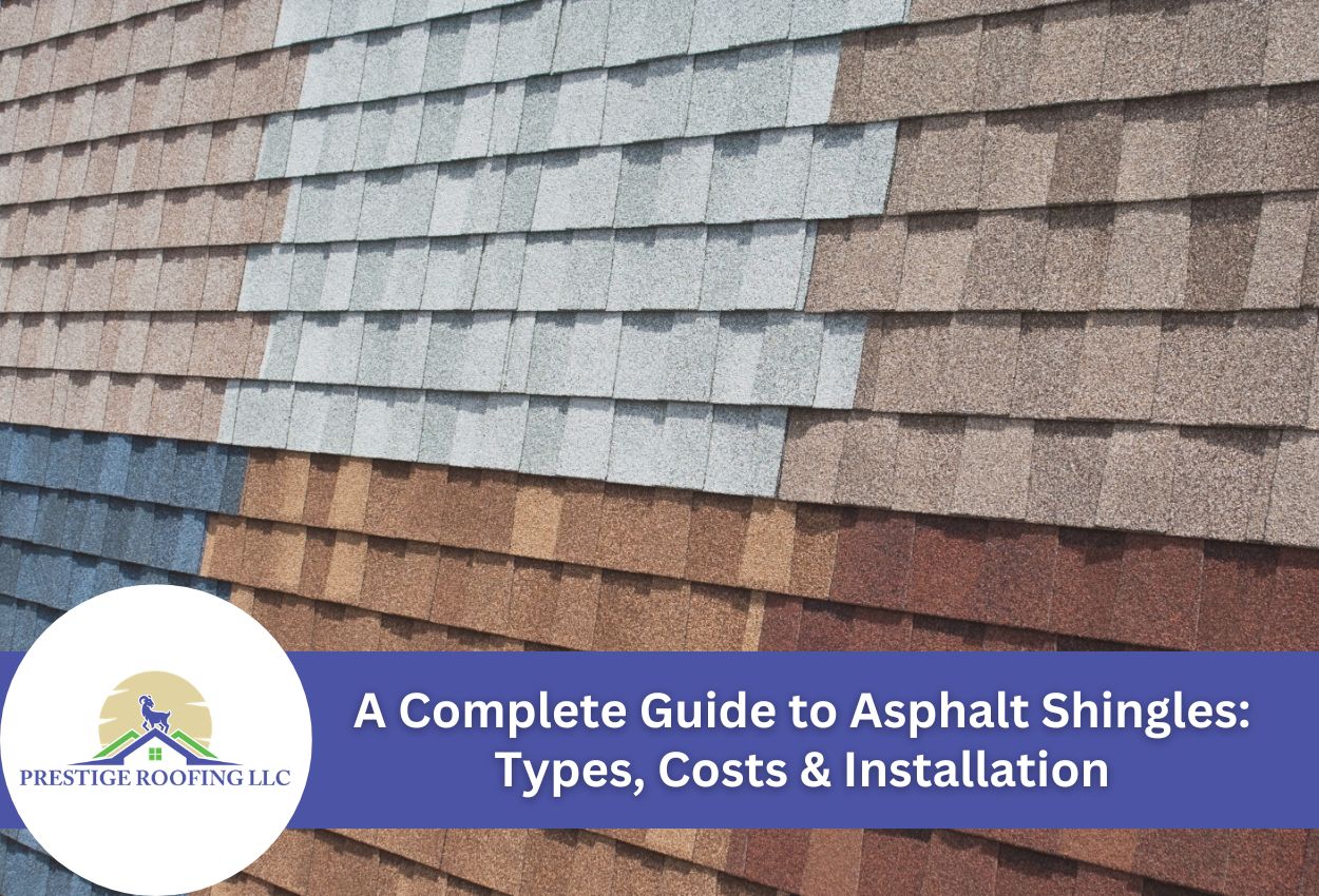Colorful asphalt shingle roof types displayed in various shades.