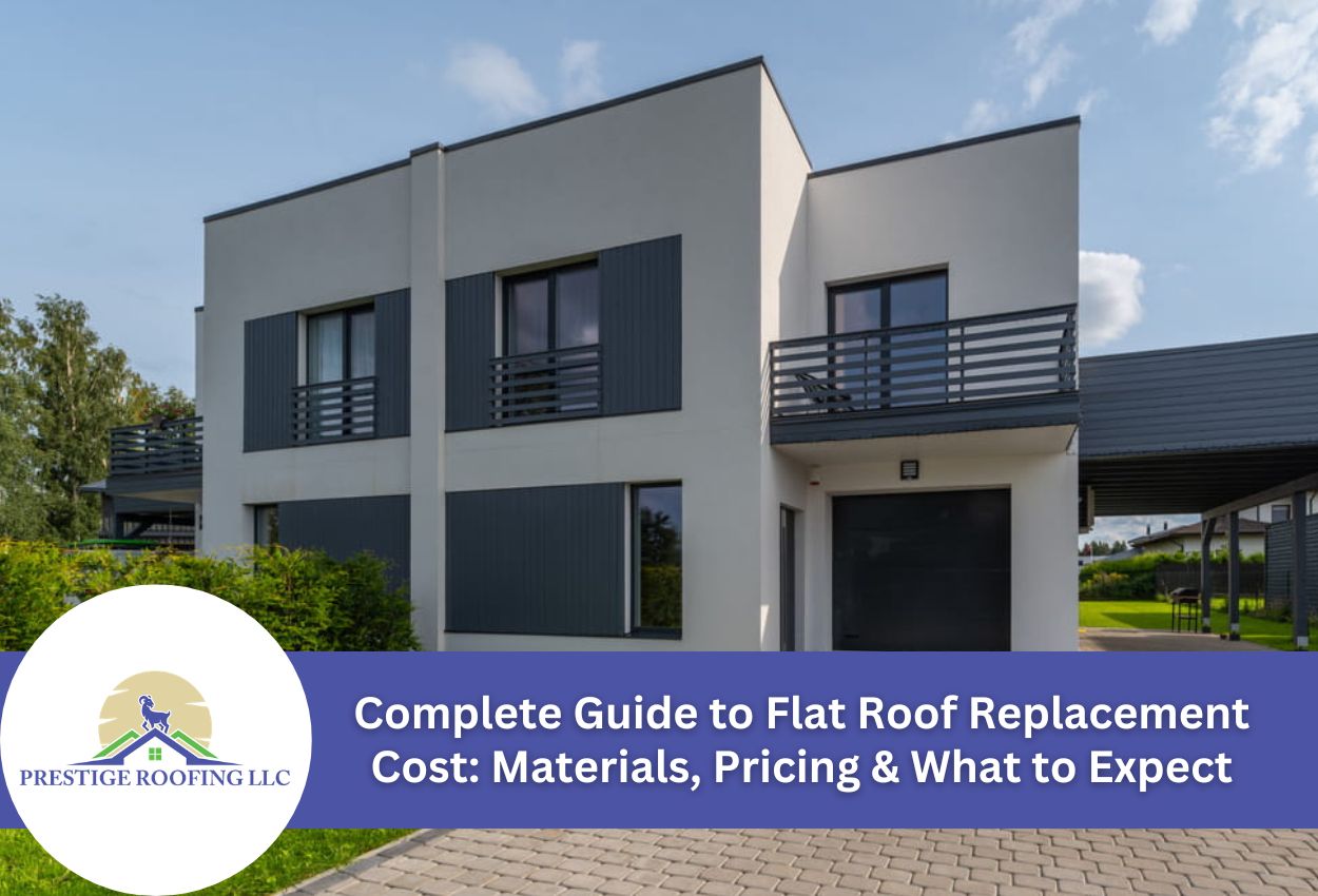 Modern house with flat roof design showcasing sleek architectural style.