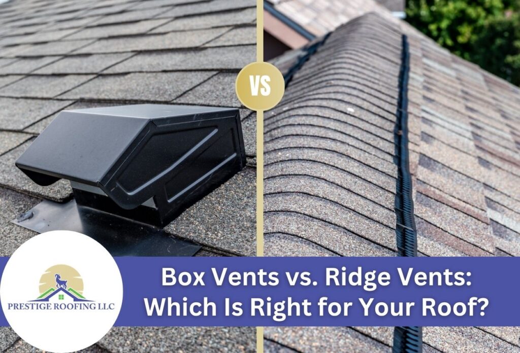 Comparison of box vents and ridge vents on residential roofs.